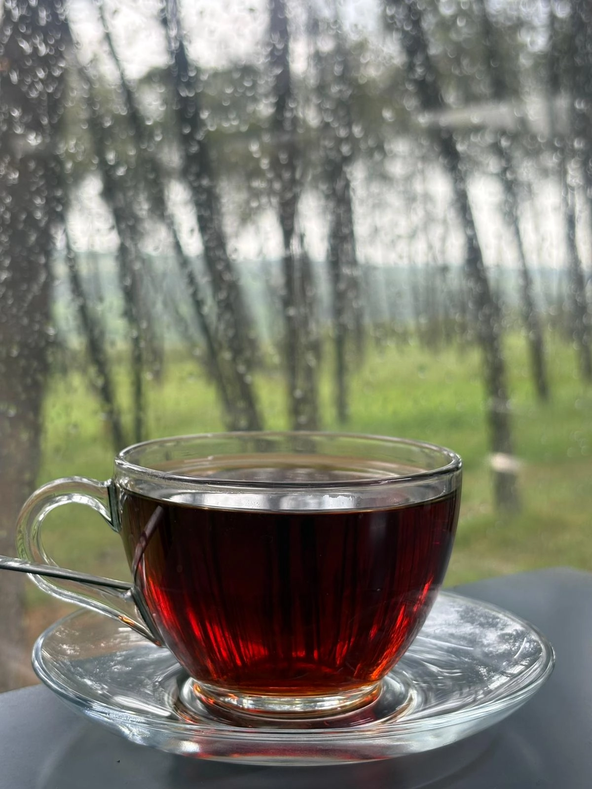 Fincan Çay